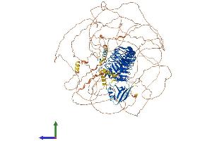 Protein Structure (PS) image for Erbb2 Interacting Protein (ERBB2IP) (AA 1-1412) protein (His tag) (ABIN7554372)