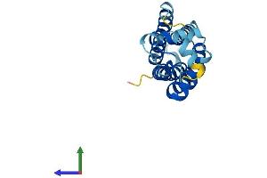 Protein Structure (PS) image for Tetraspanin 31 (TSPAN31) (AA 1-210) protein (His tag) (ABIN7544899)