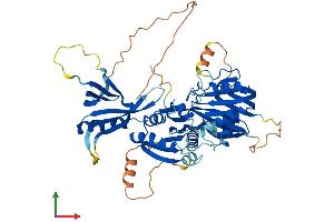 Protein Structure (PS) image for Ceramide Kinase-Like (CERKL) (AA 1-558) protein (His tag) (ABIN7553173)