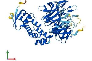 AlphaFold protein structure predicition of Mouse Recombinant Kbtbd13 Protein, UniprotID Q8C828 (KBTBD13 Protein (AA 1-458) (His tag))