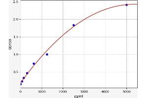 Typical standard curve (NUP62 ELISA 试剂盒)