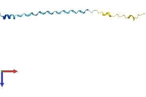 AlphaFold protein structure predicition of Mouse Recombinant Sprr2k Protein, UniprotID O70562