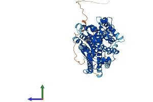 Protein Structure (PS) image for Asparagine-Linked Glycosylation 9, alpha-1,2-Mannosyltransferase (ALG9) (AA 1-611) protein (His tag) (ABIN7552142)