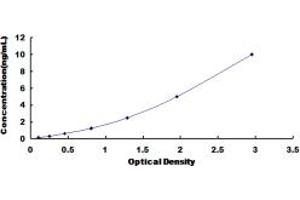 Typical standard curve (Pkc beta 1 ELISA 试剂盒)