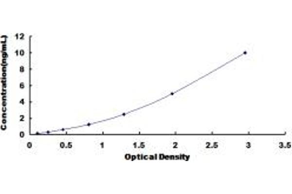 Pkc beta 1 ELISA 试剂盒