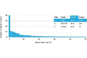 Analysis of Protein Array containing >19,000 full-length human proteins using Thrombomodulin Recombinant Mouse Monoclonal Antibody (rTHBD/1591) Z- and S- Score: The Z-score represents the strength of a signal that a monoclonal antibody (MAb) (in combination with a fluorescently-tagged anti-IgG secondary antibody) produces when binding to a particular protein on the HuProtTM array. (Recombinant Thrombomodulin 抗体  (AA 69-194))