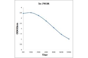 Antigen: 0. (AKR1A1 抗体  (AA 53-130))