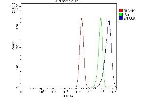 Flow Cytometry analysis of Caco-2 cells using anti-ZNF609 antibody (ABIN7599751).