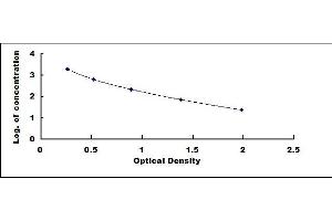 Typical standard curve (proBNP ELISA 试剂盒)