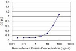Detection limit for recombinant GST tagged ATF3 is approximately 3ng/ml as a capture antibody. (ATF3 抗体  (AA 1-181))