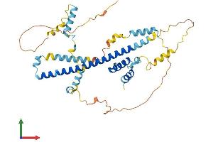 AlphaFold protein structure predicition of Human Recombinant FEZ1 Protein, UniprotID Q99689