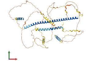 AlphaFold protein structure predicition of Mouse Recombinant Hdac9 Protein, UniprotID Q99N13