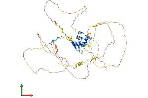 AlphaFold protein structure predicition of Mouse Recombinant Foxo4 Protein, UniprotID Q9WVH3 (FOXO4 Protein (AA 1-505) (His tag))