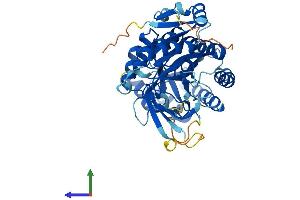 Protein Structure (PS) image for Antizyme Inhibitor 1 (AZIN1) (AA 1-448) protein (His tag) (ABIN7552499)