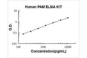 Peptidylglycine alpha-Amidating Monooxygenase (PAM) ELISA Kit