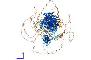 AlphaFold protein structure predicition of Human Recombinant DROSHA Protein, UniprotID Q9NRR4 (DROSHA Protein (AA 1-1374) (His tag))