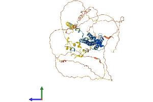 Protein Structure (PS) image for CREB3 Regulatory Factor (CREBRF) (AA 1-640) protein (His tag) (ABIN7559262)