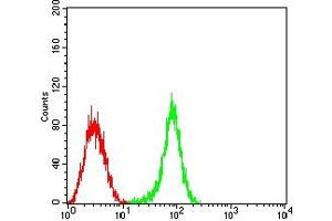 Flow cytometric analysis of HL-60 cells using CD53 mouse mAb (green) and negative control (red).