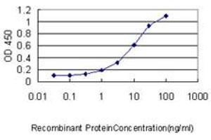 Detection limit for recombinant GST tagged SLC44A2 is approximately 0. (SLC44A2 抗体  (AA 123-230))
