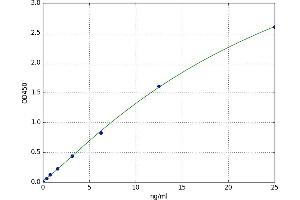 A typical standard curve