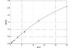 A typical standard curve (CX3CL1 ELISA 试剂盒)
