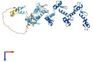AlphaFold protein structure predicition of Human Recombinant ZNF878 Protein, UniprotID C9JN71