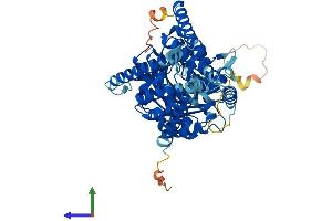 AlphaFold protein structure predicition of Mouse Recombinant Has1 Protein, UniprotID Q61647
