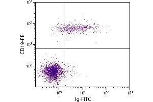 Human peripheral blood lymphocytes were stained with Goat F(ab’)2 Anti-Human Ig-FITC. (山羊 anti-人 Ig Antibody (FITC))