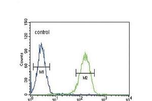 CACNA2D4 Antibody (N-term) (ABIN651895 and ABIN2840441) flow cytometric analysis of K562 cells (right histogram) compared to a negative control cell (left histogram). (CACNA2D4 抗体  (N-Term))