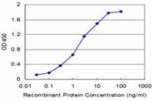 Detection limit for recombinant GST tagged SH3BGR is approximately 0. (SH3BGR 抗体  (AA 1-239))
