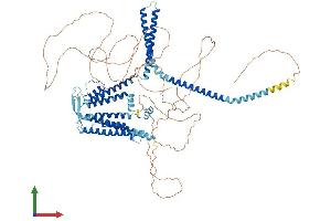 Protein Structure (PS) image for Potassium Intermediate/small Conductance Calcium-Activated Channel, Subfamily N, Member 2 (KCNN2) (AA 1-839) protein (His tag) (ABIN7563466)