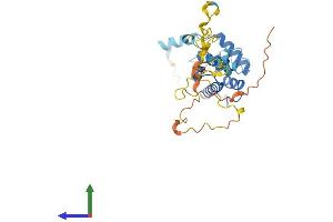 Protein Structure (PS) image for Calponin 1 (CNN1) (AA 1-297) protein (His tag) (ABIN7556919)
