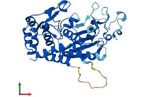 Protein Structure (PS) image for Archaelysin Family Metallopeptidase 2 (AMZ2) (AA 1-359) protein (His tag) (ABIN7557362)