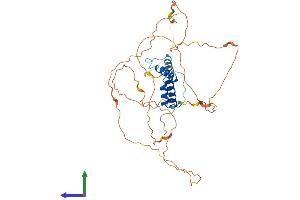 Protein Structure (PS) image for Single Stranded DNA Binding Protein 3 (SSBP3) (AA 1-388) protein (His tag) (ABIN7560813)