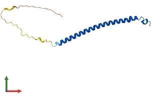 AlphaFold protein structure predicition of Human Recombinant MAFIP Protein, UniprotID Q8WZ33