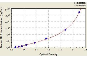 Slit Homolog 2 (Drosophila) (SLIT2) ELISA Kit