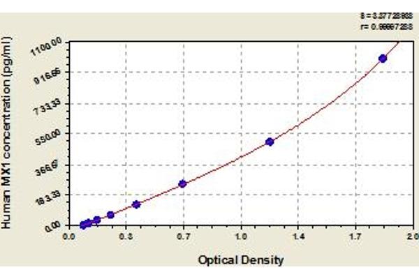 MX1 ELISA 试剂盒