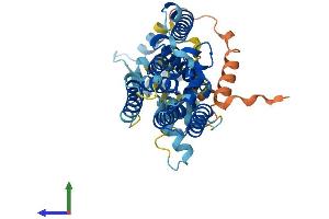 Protein Structure (PS) image for Rhomboid, Veinlet-Like 3 (RHBDL3) (AA 1-404) protein (His tag) (ABIN7551409)