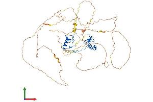 Protein Structure (PS) image for GATA Binding Protein 6 (GATA6) (AA 1-589) protein (His tag) (ABIN7563905)