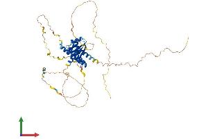 AlphaFold protein structure predicition of Human Recombinant CPSF7 Protein, UniprotID Q8N684