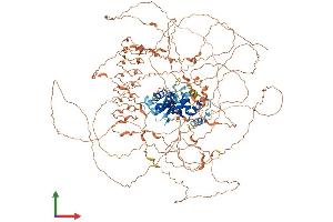 Protein Structure (PS) image for MAGE-Like 2 (MAGEL2) (AA 1-1249) protein (His tag) (ABIN7554468)