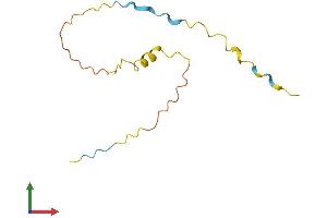 AlphaFold protein structure predicition of Human Recombinant PRM3 Protein, UniprotID Q9NNZ6