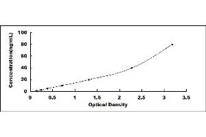 Typical standard curve (PPIA ELISA 试剂盒)