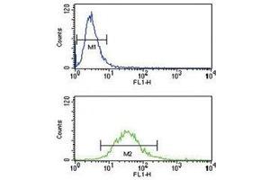 HLA-G antibody flow cytometry analysis of NCI-H460 cells (bottom histogram) (HLAG 抗体  (AA 62-89))