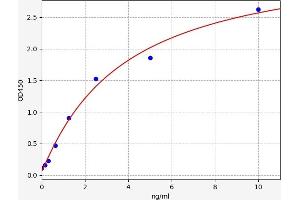 Typical standard curve (CCR5 ELISA 试剂盒)