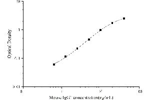 IgG1 ELISA Kit