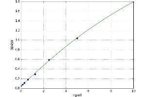 A typical standard curve (14-3-3 gamma ELISA 试剂盒)