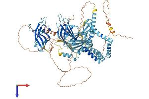 Multiple C2 Domains, Transmembrane 2 (MCTP2) (AA 1-878) protein (His tag)