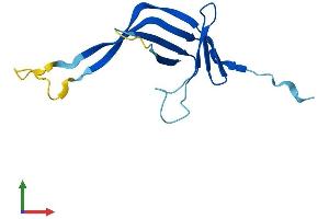 Protein Structure (PS) image for CTF8, Chromosome Transmission Fidelity Factor 8 (CHTF8) (AA 1-121) protein (His tag) (ABIN7546816)