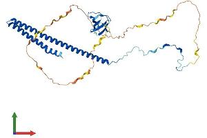 AlphaFold protein structure predicition of Mouse Recombinant Abi3 Protein, UniprotID Q8BYZ1 (ABI3 Protein (AA 1-367) (His tag))